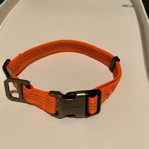 Large dog collar Carharrt orange